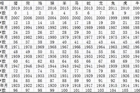 2023年属性|2023年十二属相运势总览